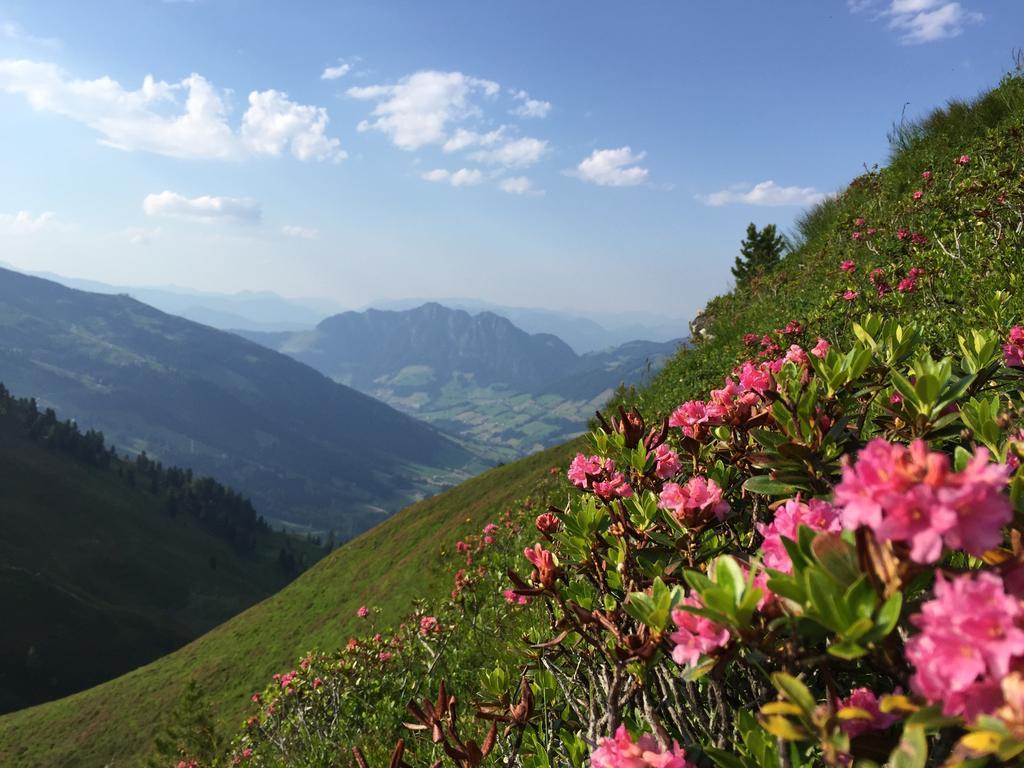 Das Alpbach Juwel Exterior foto