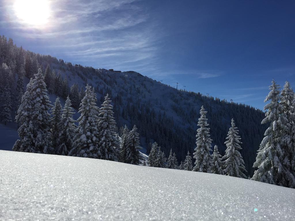 Das Alpbach Juwel Exterior foto